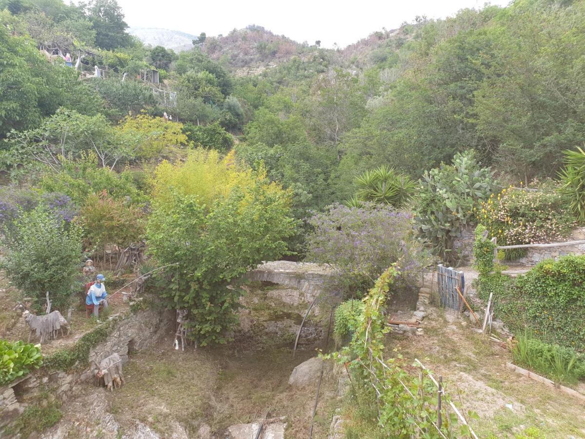 Bed&Breakfast Ca' di Vissai Arnasco Esterno foto