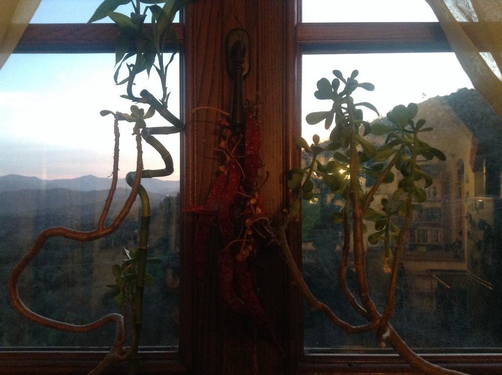 Bed&Breakfast Ca' di Vissai Arnasco Esterno foto