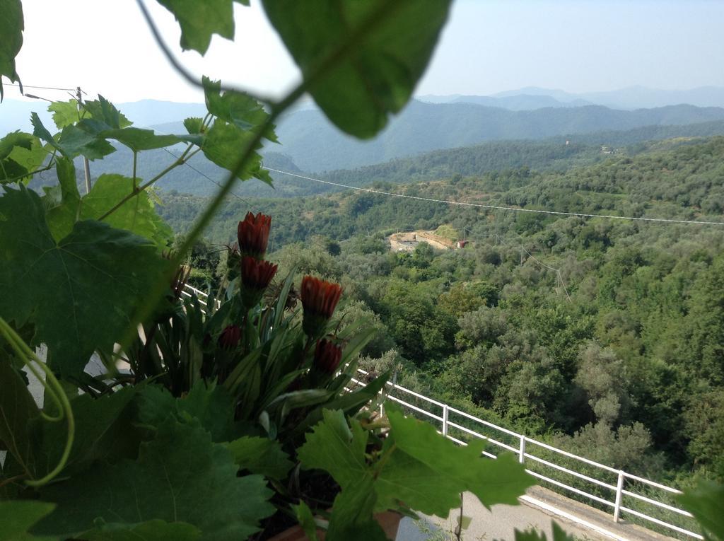 Bed&Breakfast Ca' di Vissai Arnasco Esterno foto
